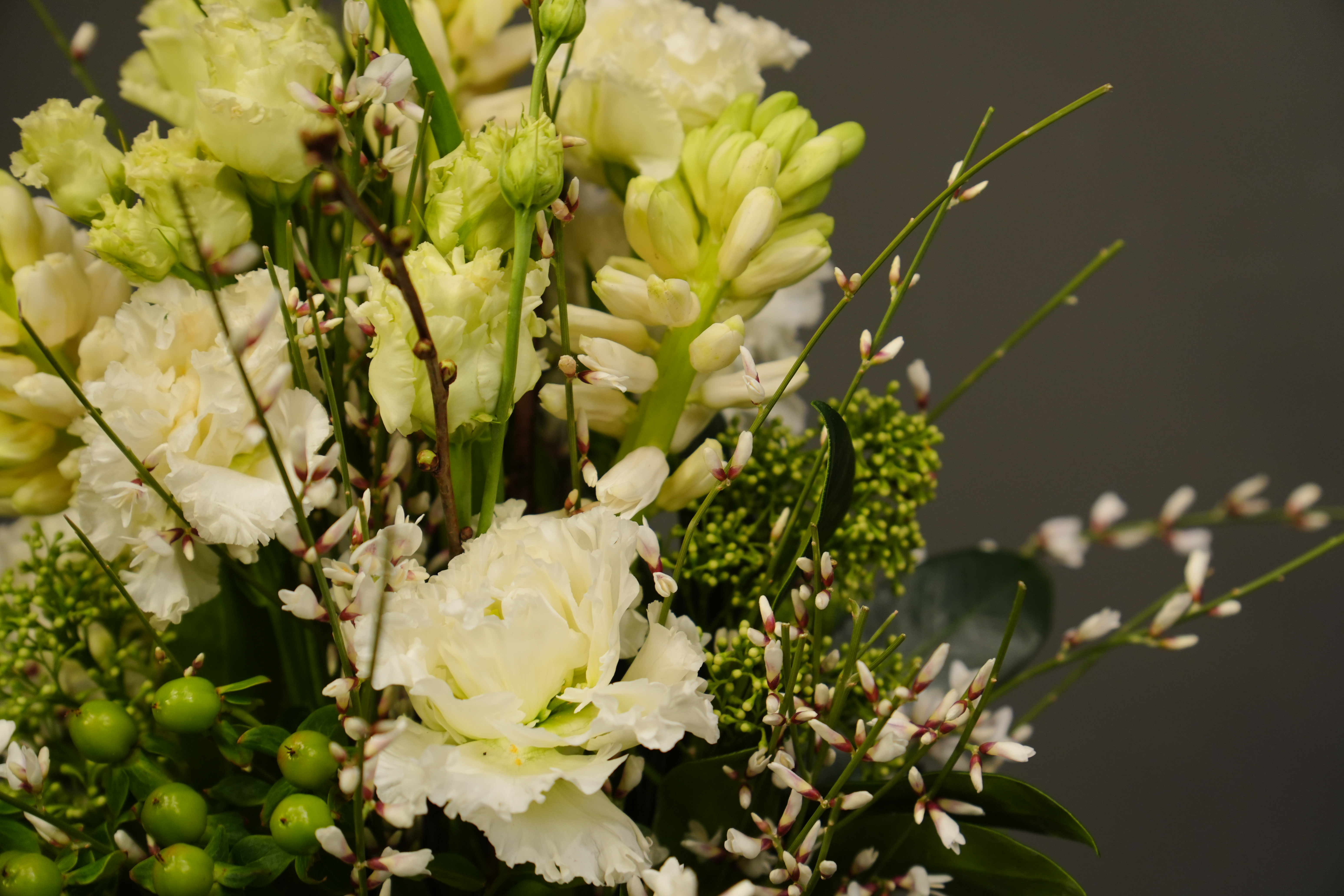 картинка Серебряная роса (Rocío plateado) от Цветочный бутик "Narciss"