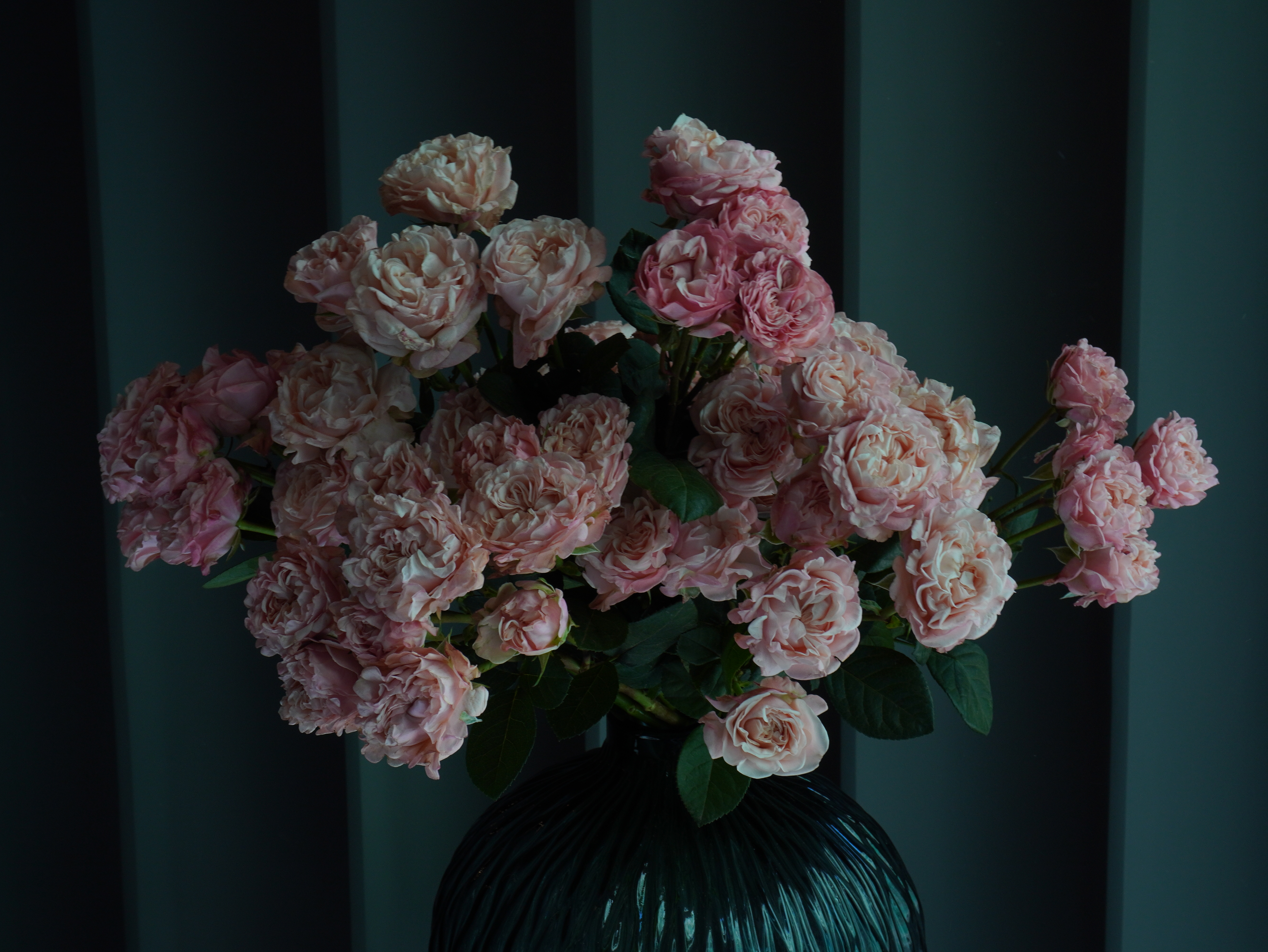 картинка Роза розовая (Rosa Rosa) Роза кустовая от Цветочный бутик "Narciss"